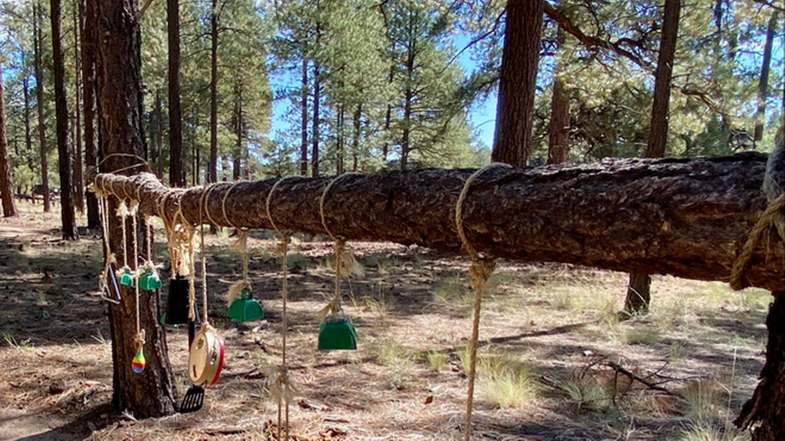 The Barefoot Trail Near Flagstaff