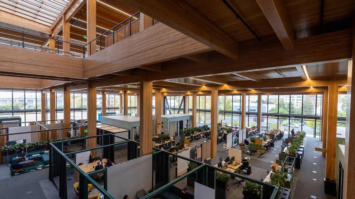 Google unveils unique and eco-friendly mass timber office