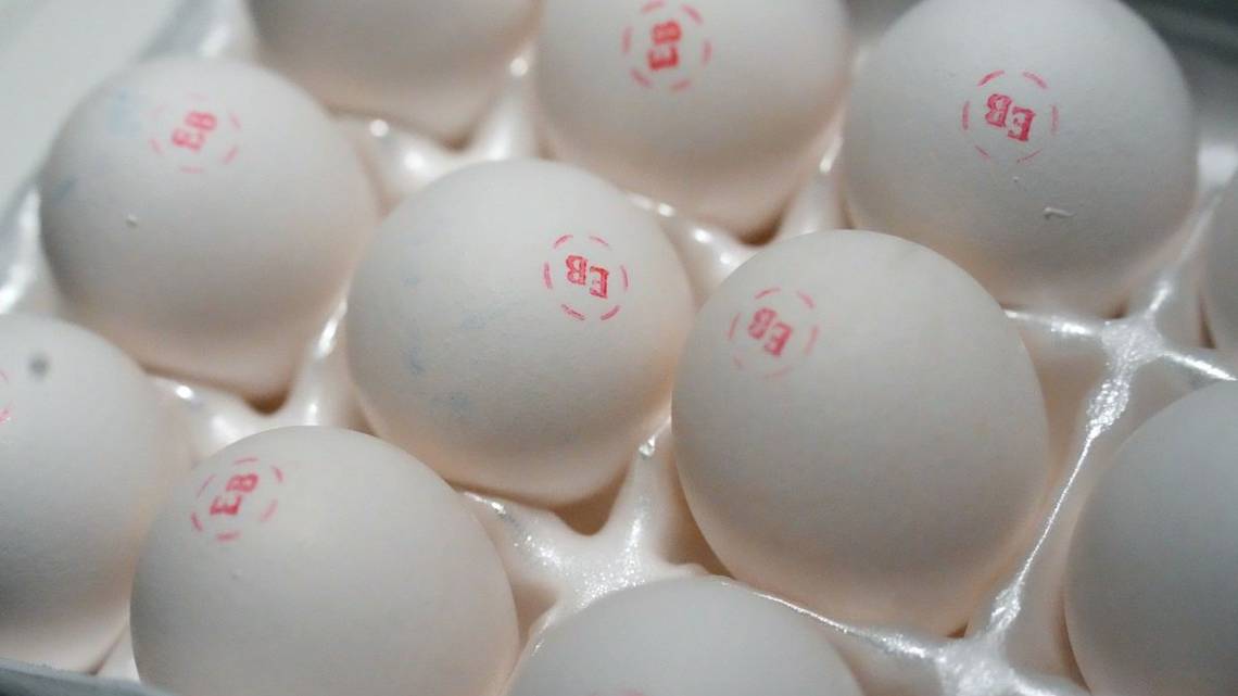 Eggs scarcer, prices soaring ahead of holiday season due to avian influenza