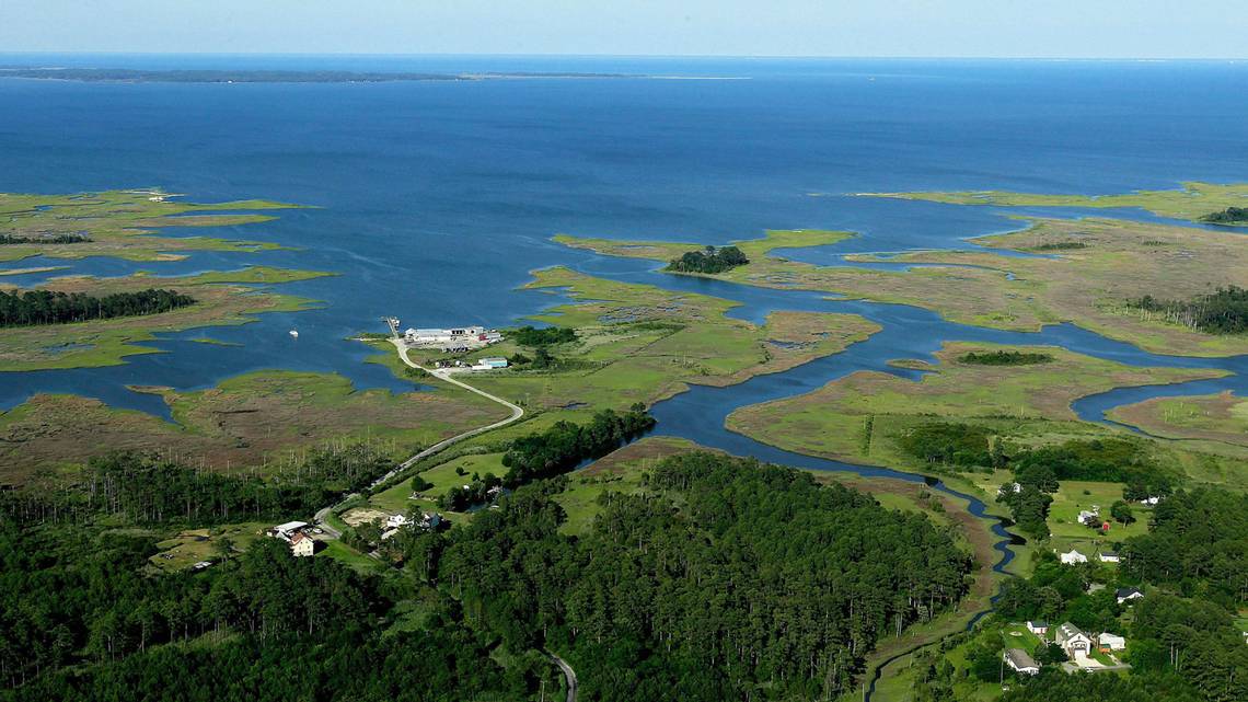 The Chesapeake Bay’s ‘dead zone’ stays at long-term average. It’s a ‘good sign’